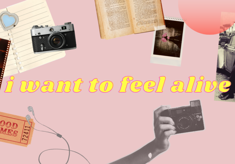 7 Things I do as a Homeschool Mom that Make me Feel Alive: Why a stimulated mind makes a better mom