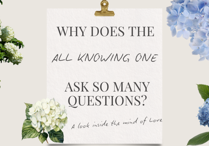 Why Does The All Knowing One Ask So Many Questions? A look inside the mind of Love
